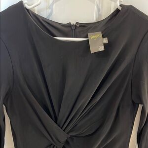 Taylor Sophisticated Black Twist Front Dress